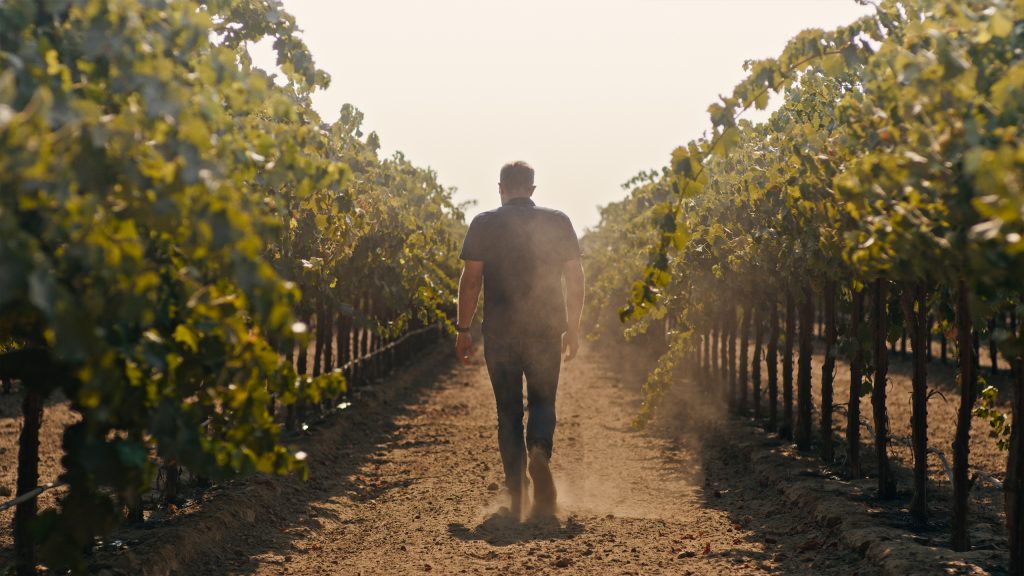 Harken Wines Case Study Photo 4 A man walking down a dirt path between rows of grapevines in a vineyard, with dust being kicked up as they walk.