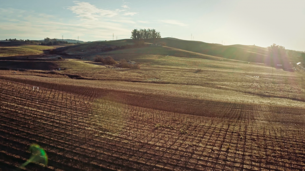 A scenic view of a rural landscape with rolling hills, fields, and a cluster of trees on a hilltop.